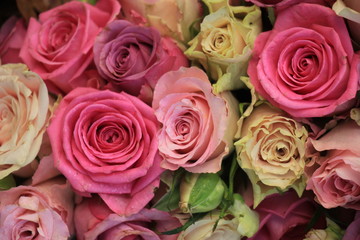 Mixed pink roses