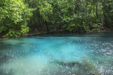 Emerald Pool (Sa Morakot), Krabi Thailand,Crystal clear blue and green water at the Emerald pool lake ,Natural forrest Thailand
