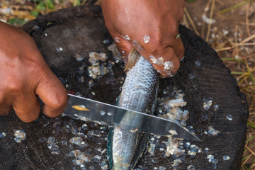 remove fish scale by knife © Picspanotphoo