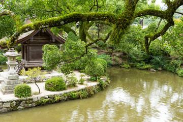 Fototapeta na wymiar Beautiful japanese garden