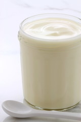 plain french style yogurt