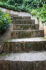 Stairway to jungle in the garden