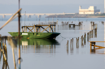 Fototapeta premium 朝のアオサ養殖場 沖縄