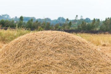 straw at countryside