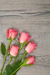 Rosen auf Holzhintergrund