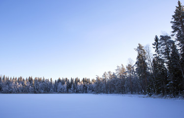 Wintry landscape in Finland. Cold winter morning. Sunrise. Frosty tree. Sun is lighting the tree tops.