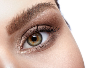 Female eye zone and brows with day makeup