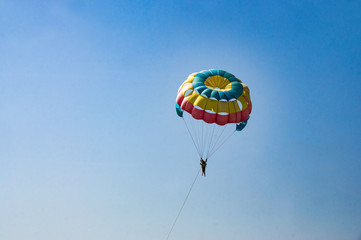 Parachutist in the blue sky on a sunny day