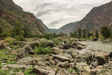 A view of the river flowing in the gorge between the mountains in the Altai region.