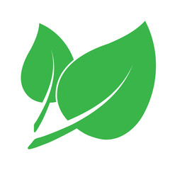 Eco icon with double green leaf. Isolated in flat style