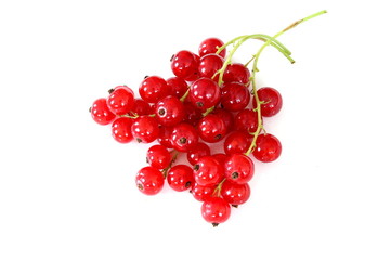 red currant fruits isolated on a white background