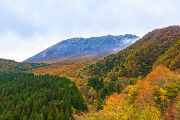 Naklejka premium 大山の紅葉 -鍵掛峠からブナの森と南壁-