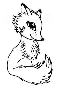 little fox -  illustration