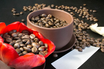 coffee beans in the bud red flower, paper with your signature