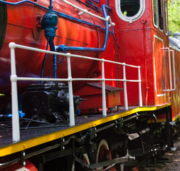 Train with steam locomotive going through the park