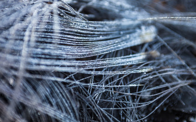 Metal carcass of the burnt automobile tire