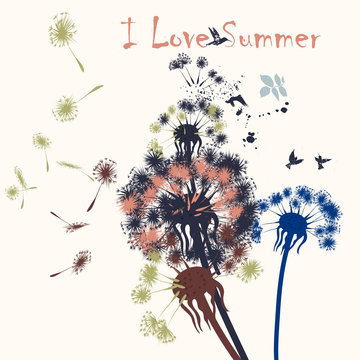 Fototapeta Creative background with dandelions flowers