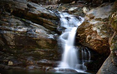 Fototapeta premium fall