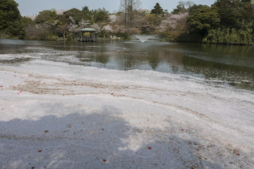 高岡古城公園