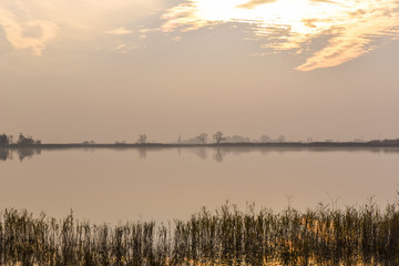 Seewinkel, Burgenland, Austria