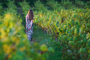 woman in vineyard