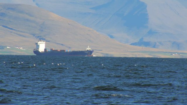 huge trawler in Atlantic ocean near coast of Reykjavik, mountain is on background, seagull flock
