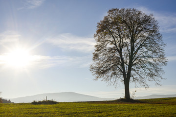 Obraz premium Vorau Puchegg, Styria, Austria, Vorau-Puchegg