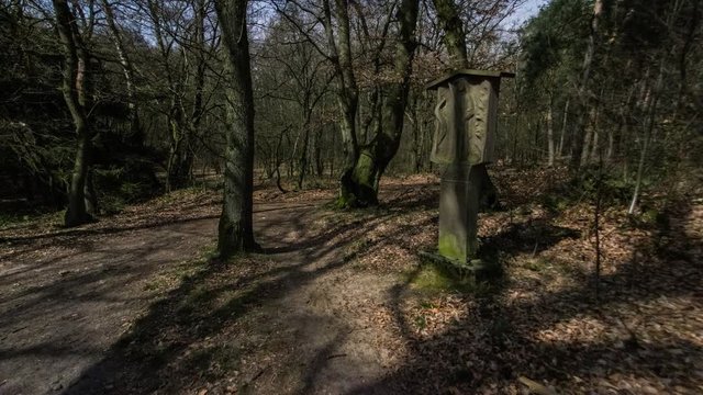 4k UHD Spooky shadows on a processional route in the forest while moonrise time lapse. 11323
