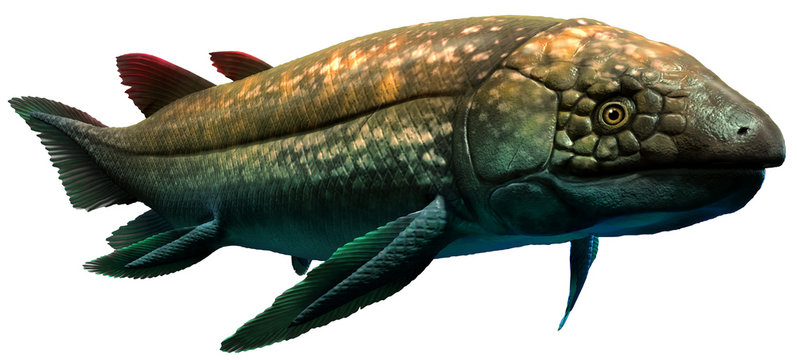 Dipterus from the Devonian era 3D illustration