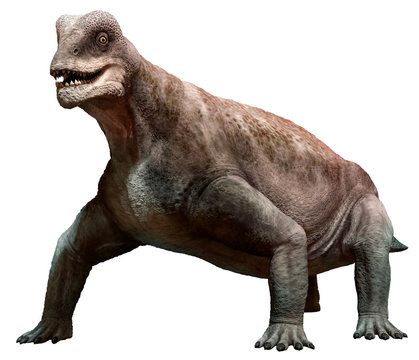 Moschops from the Guadalupian epoch 3D illustration