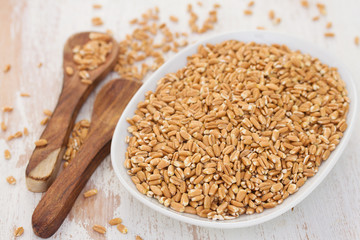 spelt on white dish