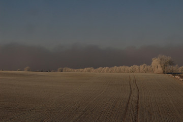 Brume le matin à la campagne 2