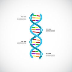 DNA timeline. Process template. Vector infographics.