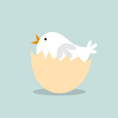 The chick hatching © mrartngm