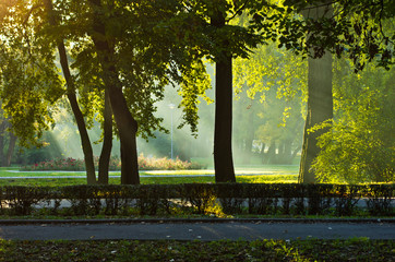 First sunrays at autumn morning in Topcider park, Belgrade, Serbia