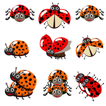 Cute colorful ladybugs clip art collection isolated on white background