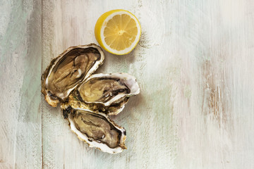 Freshly shucked oysters with lemon and copyspace