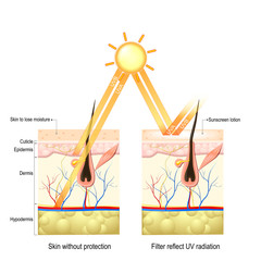 Protect human skin from UVA , UVB ray
