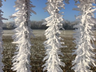 frozen metal bars of a gate