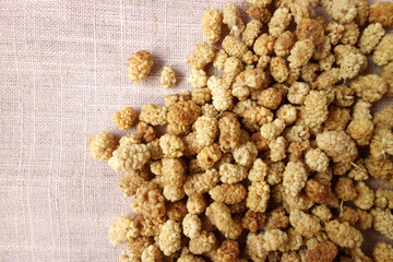 mulberry