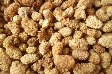 mulberry
