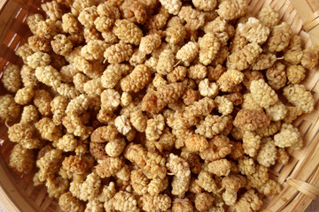 mulberry