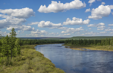 Summer landscape with river, forest, clouds on the blue sky and sunset. 