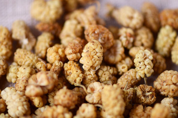 mulberry