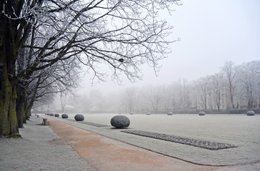 Trees covered hoar-frost in the park a foggy winter day