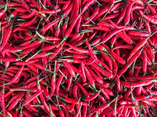 Red Chilli display at Malaysia Market