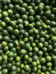 Fresh Limes on Malaysia Market