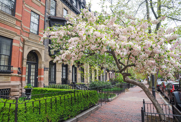 Boston in early spring, Massachusetts, USA