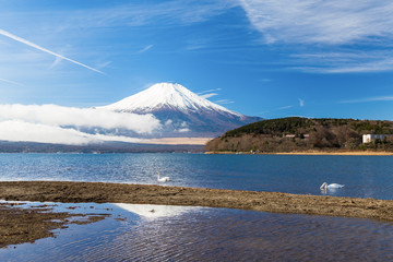 Mt.Fuji and Lake Yamanakako.The shooting location is Lake Yamanakako, Yamanashi prefecture Japan.