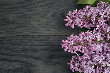 lilac flowers on wood table from above, with copy space